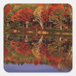 Sticker Carré États-Unis, Michigan, Upper Peninsula. Automne