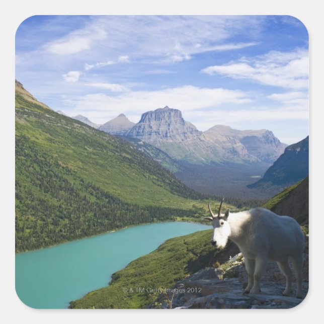 Sticker Carré États-Unis, Montana, Parc national des Glaciers, M (Devant)