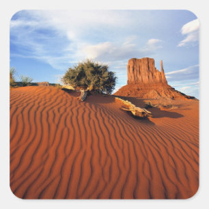 Sticker Carré États-Unis, Utah, Monument Valley. Le vent crée