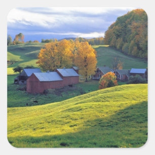 Sticker Carré États-Unis, Vermont, Jenne Farm. Collines vertes o