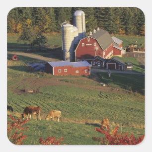 Sticker Carré États-Unis, Vermont, Pomfret. Grange rouge et auto