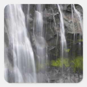 Sticker Carré États-Unis, WA, Mt. Rainier NP, Narada Falls