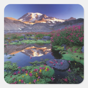 Sticker Carré États-Unis, Washington, Parc national du mont Rain