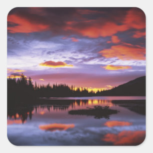 Sticker Carré États-Unis, Washington, Parc national du mont Rain