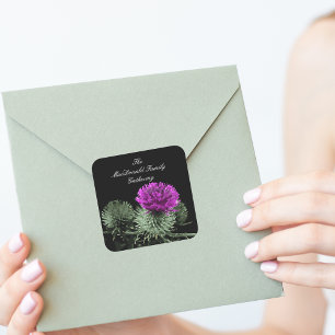 Sticker Carré Étonnant chardon écossais