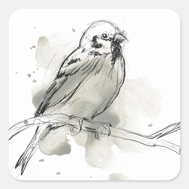 Sticker Carré Étude des oiseaux de la nature (Devant)