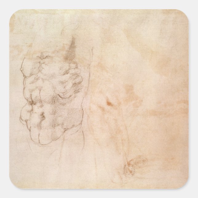 Sticker Carré Étude Torso (Devant)