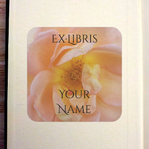 Sticker Carré Ex-libris de rose de couleur pêche