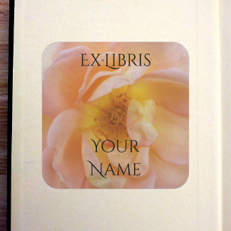 Sticker Carré Ex-libris de rose de couleur pêche