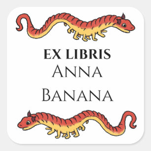 Sticker Carré Ex-libris Dragon Médiéval