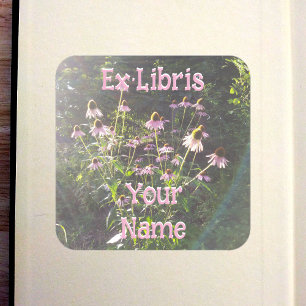 Sticker Carré Ex-libris Fleurs d'échinacée au soleil