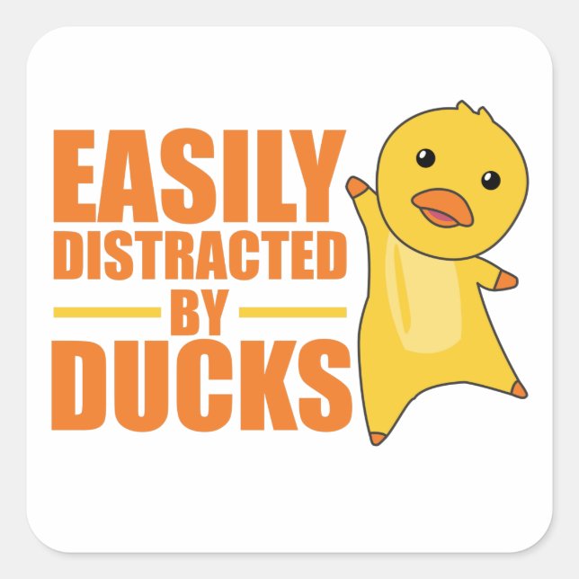 Sticker Carré Facilement Distrait Par Les Canards - Drôle Canard (Devant)