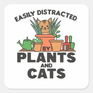 Sticker Carré Facilement Distrait Par Les Plantes Et Chats Chat 