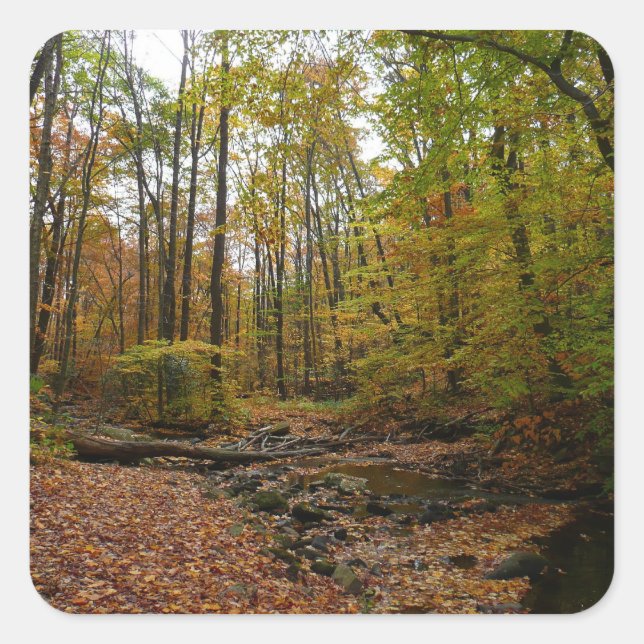 Sticker Carré Fall Creek à Laurel Hill State Park Pennsylvania (Devant)