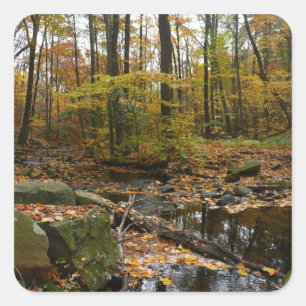 Sticker Carré Fall Creek avec réflexion à Laurel Hill Park