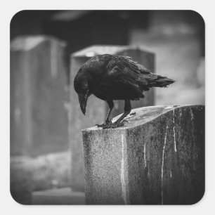 Sticker Carré Falln Cemetery Crow