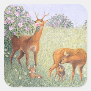 Sticker Carré Famille des cerfs