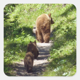 Sticker Carré Famille d'ours brun