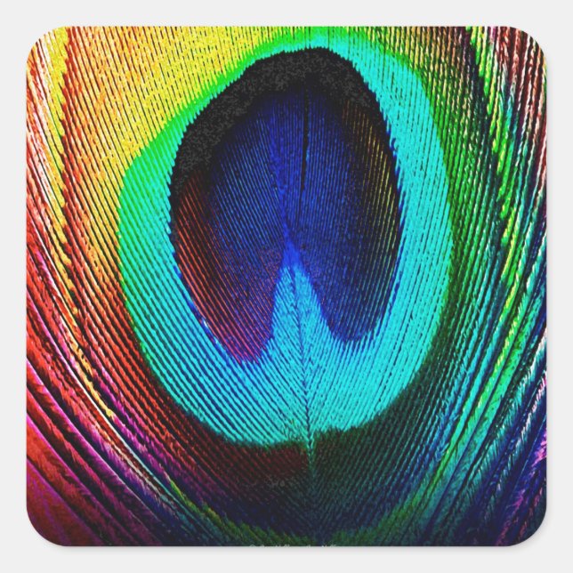 Sticker Carré Feather (Devant)
