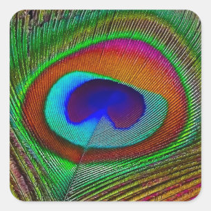 Sticker Carré Feather Vibrant Copper