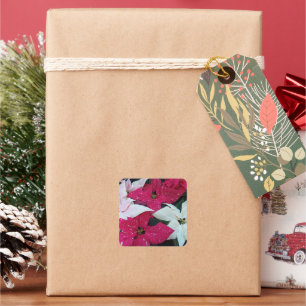 Sticker Carré Festive vacances Poinsettias Floral