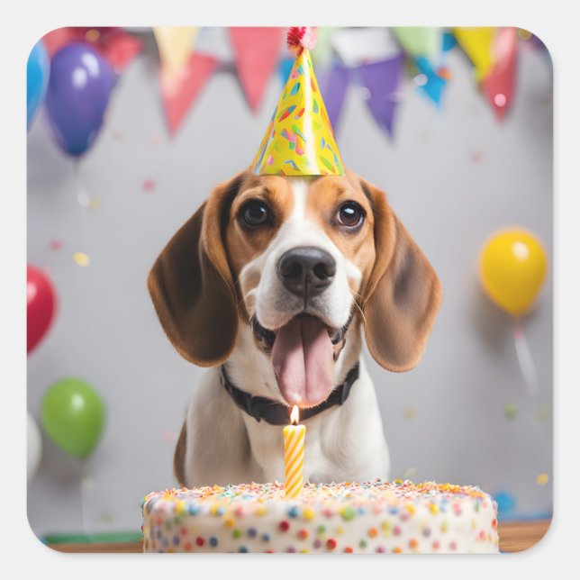 Sticker Carré Fête d'anniversaire beagle (Devant)