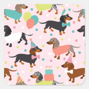 Sticker Carré Fête d'anniversaire de Dachshund