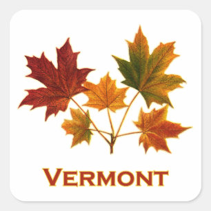 Sticker Carré Feuillage d'automne du Vermont - feuille d'érable
