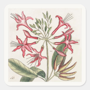 Sticker Carré Feuille d'autocollants carrés floraux roses