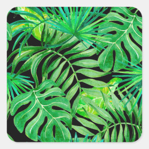 Sticker Carré Feuilles d'aquarelle tropicale : Élégance transpar