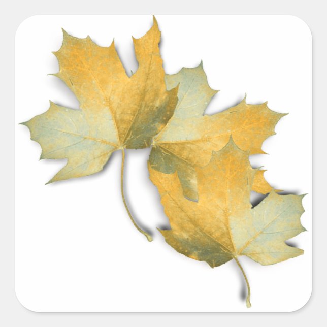 Sticker Carré Feuilles d'automne jaune doré (Devant)