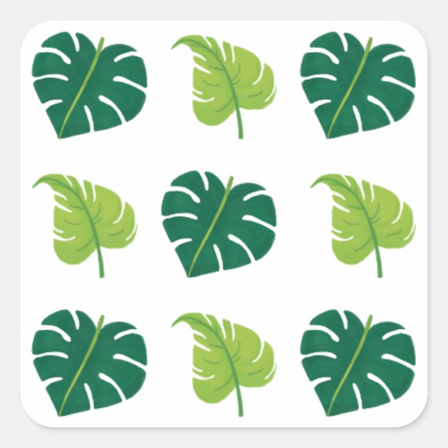 Sticker Carré Feuilles minimaux Plantes verts modernes (Devant)