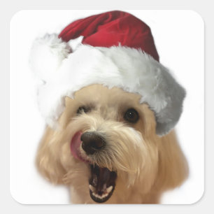 Sticker Carré Feuillet d'autocollant pour chiot de Noël !