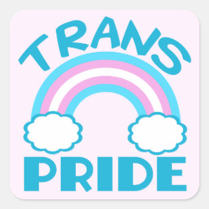 Sticker Carré Fierté transgenre