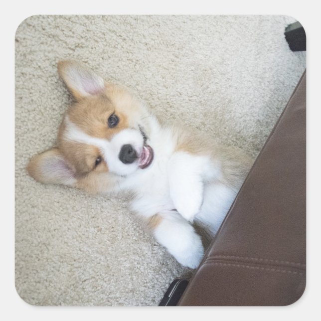 Sticker Carré fille (Devant)