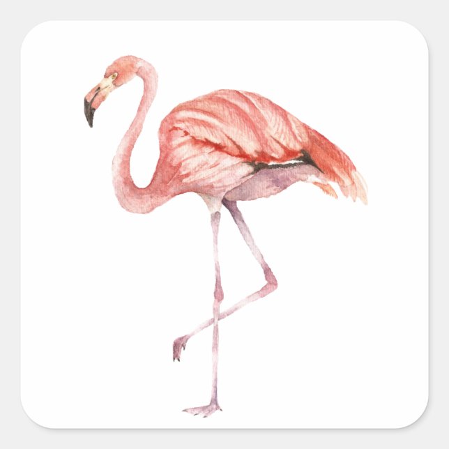 Sticker Carré Flamant rose rose (Devant)