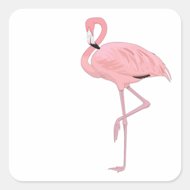 Sticker Carré Flamant rose rose debout une jambe (Devant)