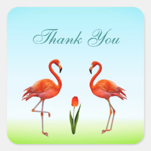 Sticker Carré Flamants roses et fleurs de tulipes Merci