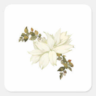 Sticker Carré Fleur Blanche et Feuillage Simplistes