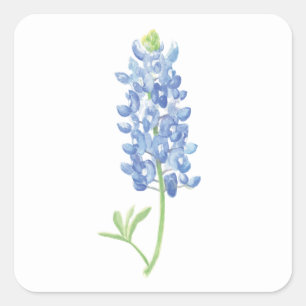Sticker Carré Fleur bleu aquarelle