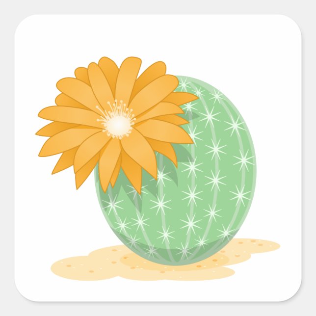 Sticker Carré Fleur Cactus (Devant)