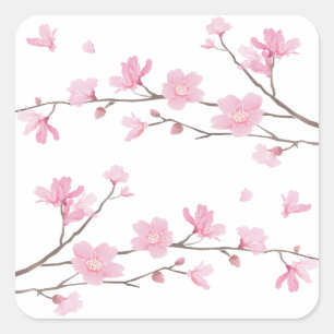 Sticker Carré Fleur de cerisiers - Arrière - plan transparent