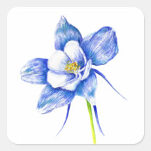 Fleur de columbine bleue