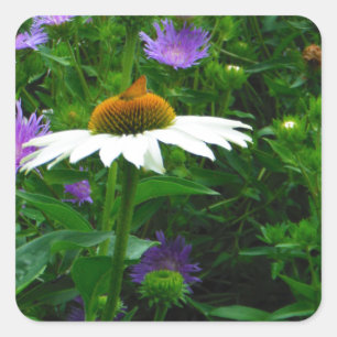 Sticker Carré Fleur de cône blanc, fleurs pourpres et papillon