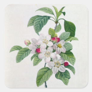 Sticker Carré Fleur, de 'DES de Les Choix plus des belles