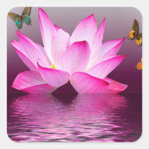 Sticker Carré Fleur de Lotus avec insecte papillon