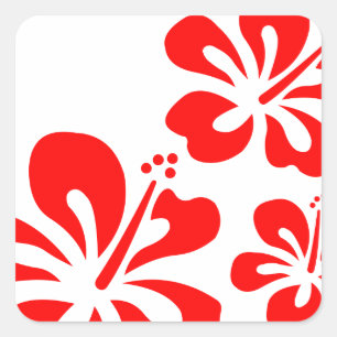 Sticker Carré Fleur d'Hibiscus rouge