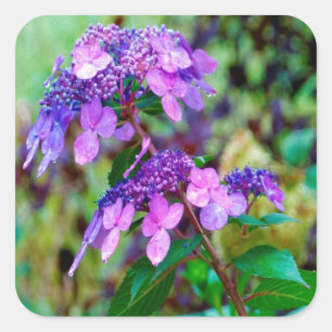 Sticker Carré Fleur d'hortensia Violet Twist and Shout
