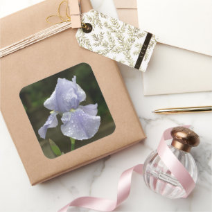 Sticker Carré Fleur d'Iris Bleu de Mariage Gouttes de Pluie