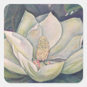 Sticker Carré Fleur Magnolia en acier